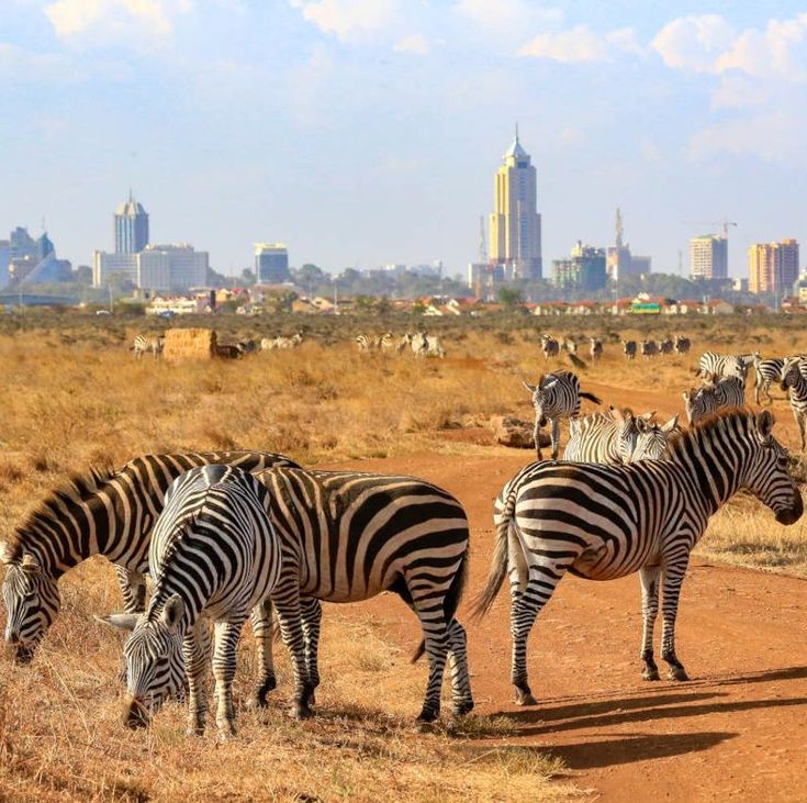 Nairobi National Park